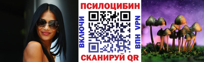 OMG tor  купить наркотик  Хабаровск  Галлюциногенные грибы GOLDEN TEACHER 